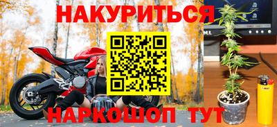 прущие крисы Пугачёв